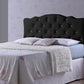 Rita Headboard - Modern and Contemporary Black Faux Leather Upholstered Button-tufted Scalloped Design