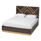 Arcelia Queen Size Platform Bed Contemporary Glam Luxe Design Two-Tone Dark Brown Gold Finished Wood