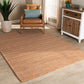 Aral Area Rug Modern and Contemporary Beige Handwoven Wool