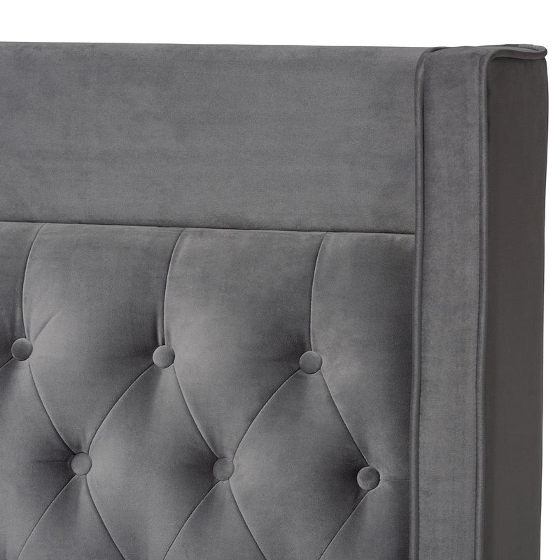 Valery Platform Bed - Modern and Contemporary Dark Gray Velvet Fabric with Gold-Finished Legs