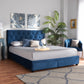 Caronia Platform Storage Bed - Modern and Contemporary Grey Velvet Fabric Upholstered with 2 Drawers