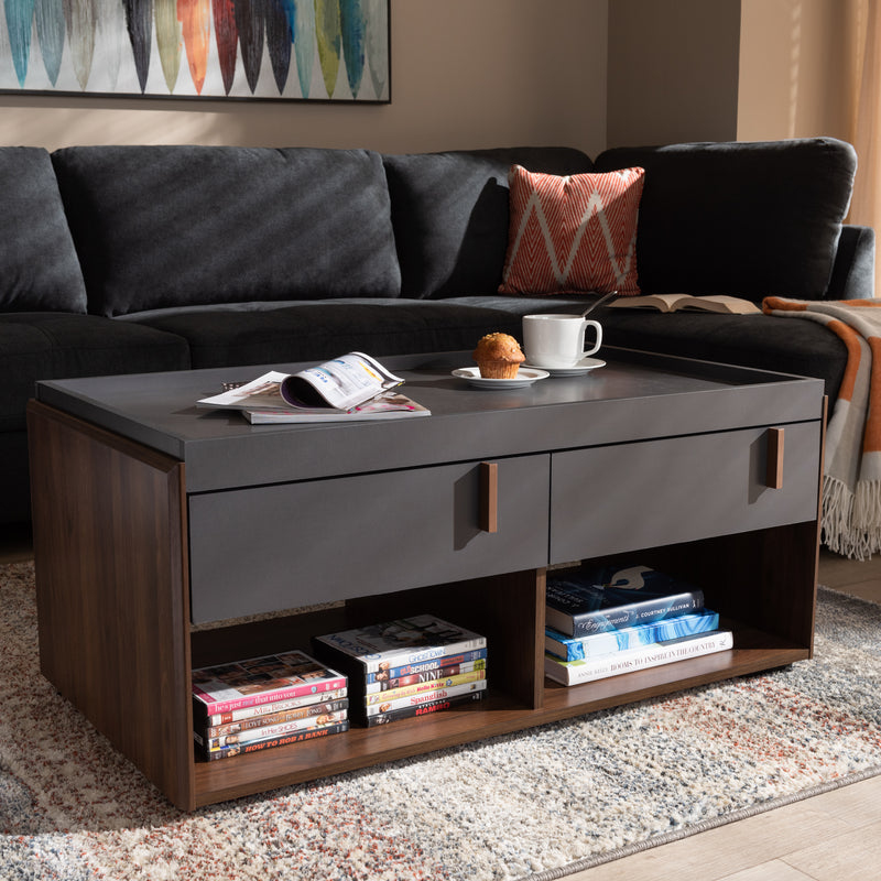 Rikke Coffee Table - Modern Two-Tone Gray and Walnut Wood with 2 Drawers for Stylish Living Room Storage