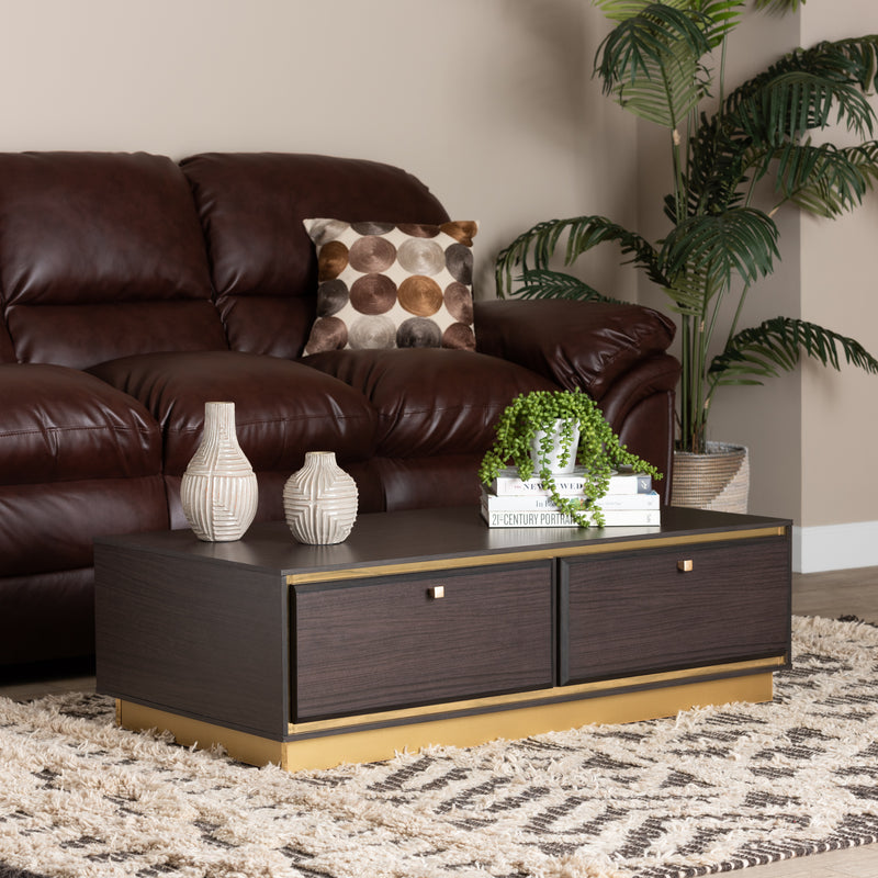 Cormac Coffee Table Mid-Century Modern Transitional Dark Brown Finished Wood and Gold Metal 2-Drawer