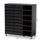 Shirley Shoe Storage Cabinet Modern and Contemporary Dark Grey Finished 2-Door Wood with Open Shelves