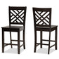 Caron Counter Stool Set Modern and Contemporary Transitional Dark Brown Finished Wood 2-Piece