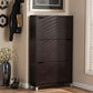 Simms Shoe Cabinet Dark Brown Modern