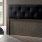 Dalini Headboard - Modern and Contemporary Full Black Faux Leather with Faux Crystal Buttons