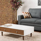 Gemini Contemporary Wood Coffee Table with Modern Design and Stylish Finish