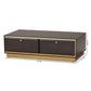 Cormac Coffee Table Mid-Century Modern Transitional Dark Brown Finished Wood and Gold Metal 2-Drawer