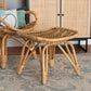 Earvin Footstool - Modern Bohemian Natural Brown Rattan Accent Stool for Stylish Home Decor and Comfort