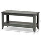 Elada Coffee Table Modern and Contemporary Grey Finished Wood