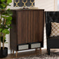 Landen Shoe Storage Cabinet Mid-Century Modern Walnut Brown and Gold Finish with 2 Doors for Entryway Organization