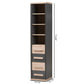 Pandora Storage Cabinet Modern Dark Grey and Light Brown Two-Tone 4-Drawer Organizer for Home and Office Use