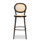 Thalia Outdoor Bar Stool - Mid-Century Modern Dark Brown Metal and Synthetic Rattan for Stylish Patio Seating