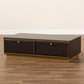 Cormac Coffee Table Mid-Century Modern Transitional Dark Brown Finished Wood and Gold Metal 2-Drawer