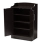 Verdell Shoe Cabinet Modern Contemporary Wenge Brown Finish for Stylish Storage Solutions