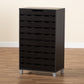 Ernest Shoe Storage Cabinet in Dark Brown Finished Wood with 2 Doors for Organized Footwear