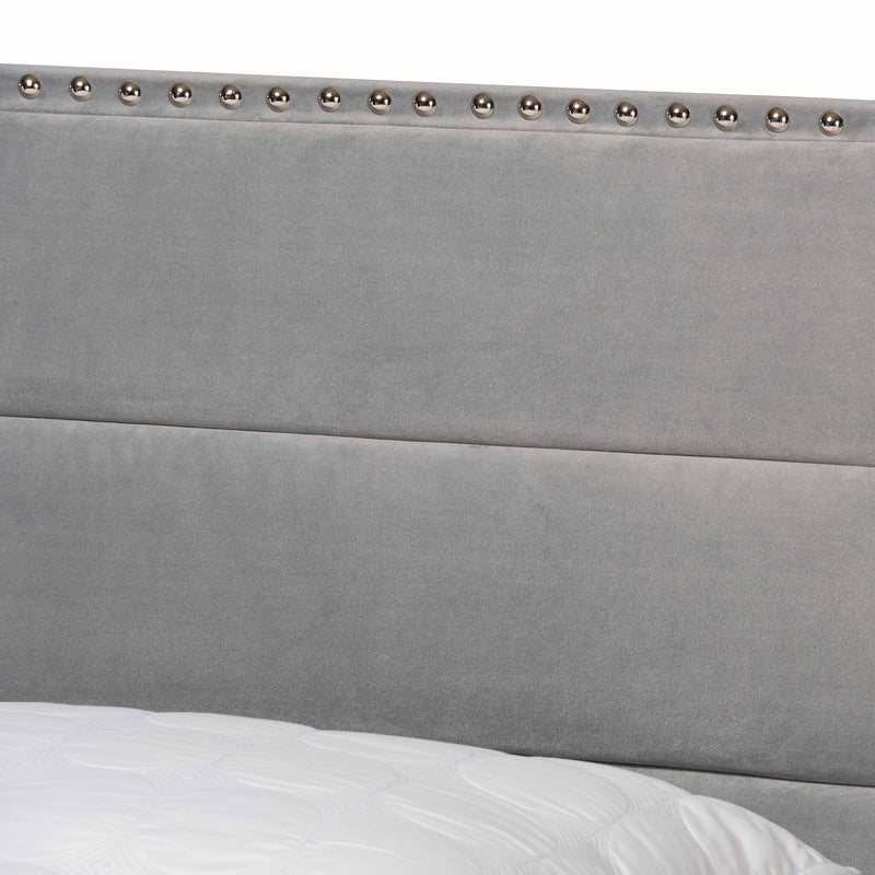 Tamira Panel Bed - Modern and Contemporary Glam Grey Velvet Fabric Upholstered