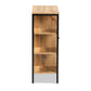 Vander Shoe Storage Cabinet Modern Contemporary Design Oak Brown Wood Black Metal 1 Door Organized Footwear Storage