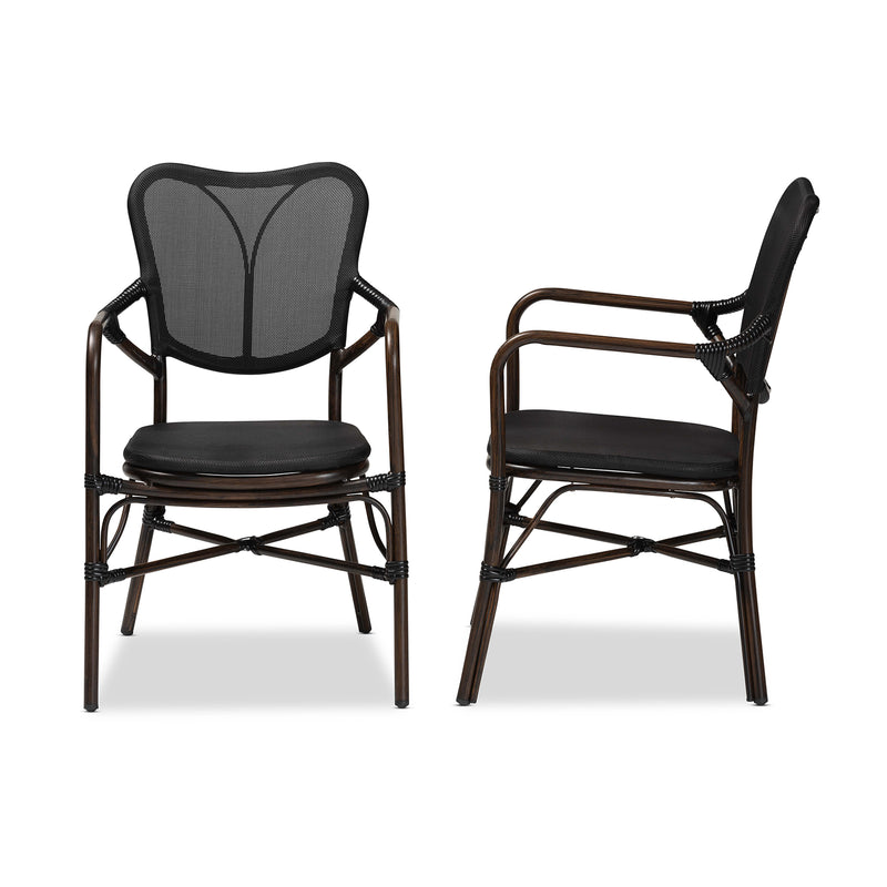 Erling Outdoor Dining Chair Set - Mid-Century Modern Black and Dark Brown Metal, 2-Piece Set for Stylish Patio or Garden Seating