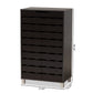 Ernest Shoe Storage Cabinet in Dark Brown Finished Wood with 2 Doors for Organized Footwear