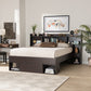 Dexton Queen Size Platform Storage Bed Modern Dark Brown Wood Design with Ample Under-Bed Storage