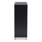 Shirley Shoe Storage Cabinet Modern and Contemporary Dark Grey Finished 2-Door Wood with Open Shelves