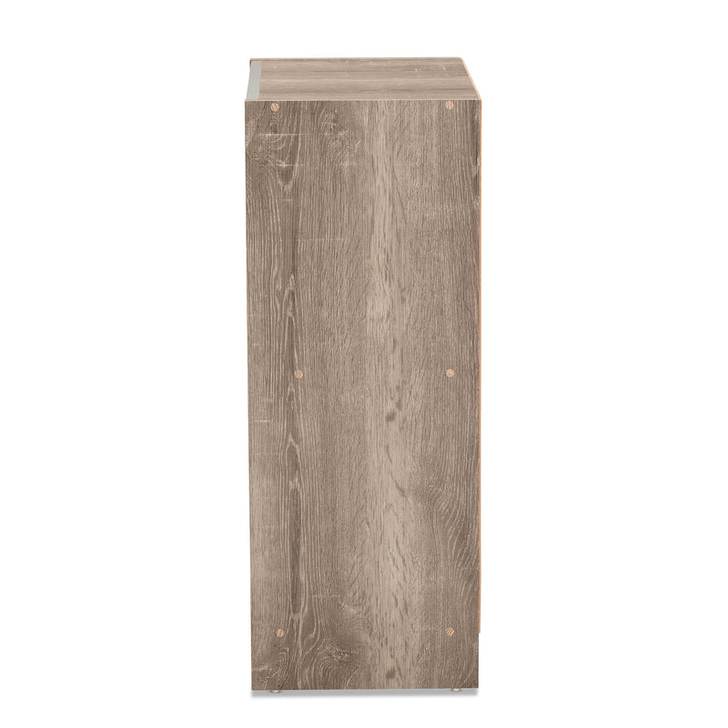 Langston Shoe Cabinet - Modern Weathered Oak 2-Door Storage Solution for Shoes and Accessories