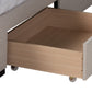 Coronado Platform Bed - Mid-Century Modern Transitional Beige Fabric 3-Drawer Storage