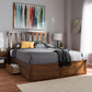 Raurey Storage Platform Bed - Modern and Contemporary Walnut Finish