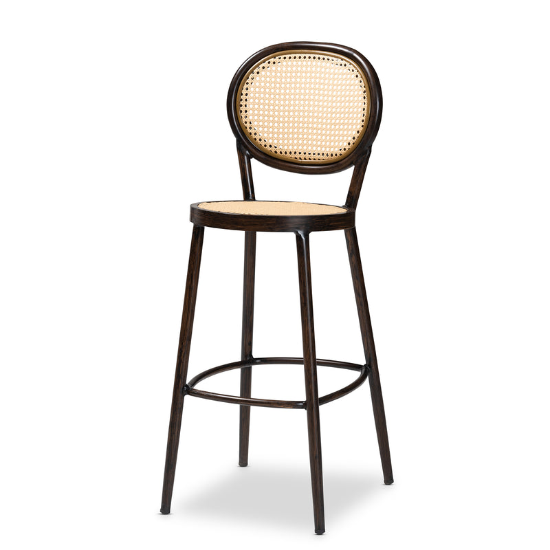 Thalia Outdoor Bar Stool - Mid-Century Modern Dark Brown Metal and Synthetic Rattan for Stylish Patio Seating