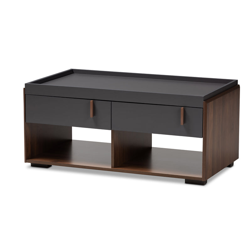 Rikke Coffee Table - Modern Two-Tone Gray and Walnut Wood with 2 Drawers for Stylish Living Room Storage