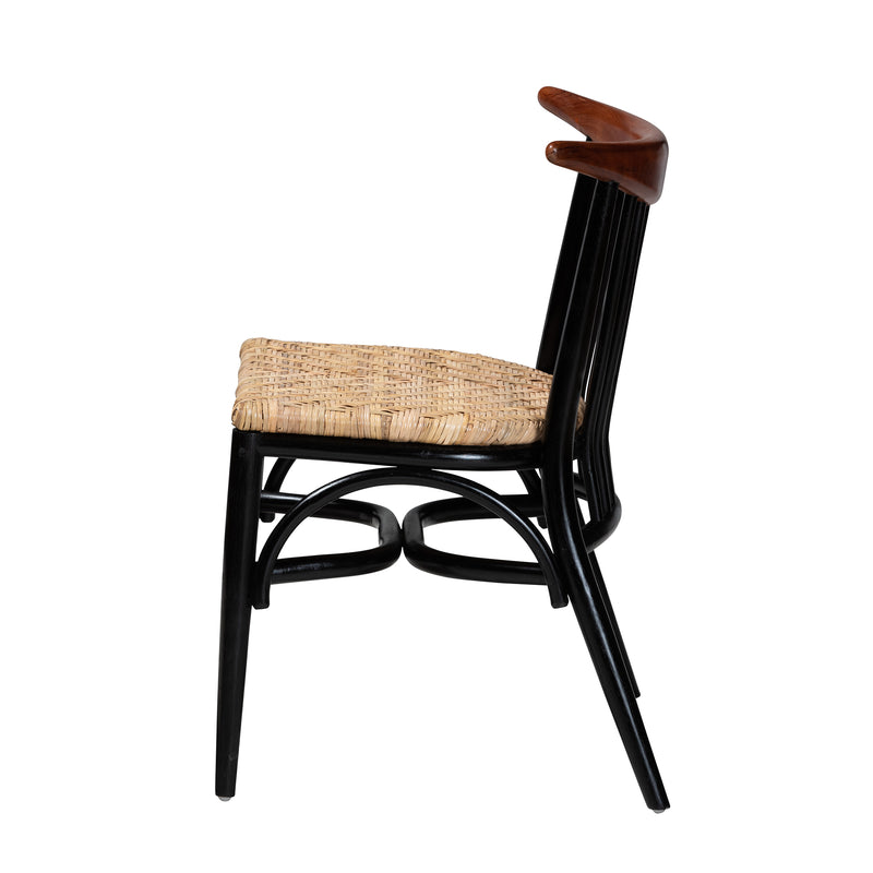 Parthenia Mid-Century Modern Dining Chair in Two-Tone Black and Walnut, Crafted from Mahogany with Natural Rattan Accents