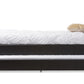 Cosmo Trundle Bed - Modern and Contemporary Black Faux Leather