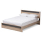 Jamie Queen Size Platform Bed in Modern Two-Tone Oak and Grey Wood Design