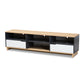 Reed Mid-Century Modern 2-Drawer Wood TV Stand in Multicolor with Storage and Stylish Design