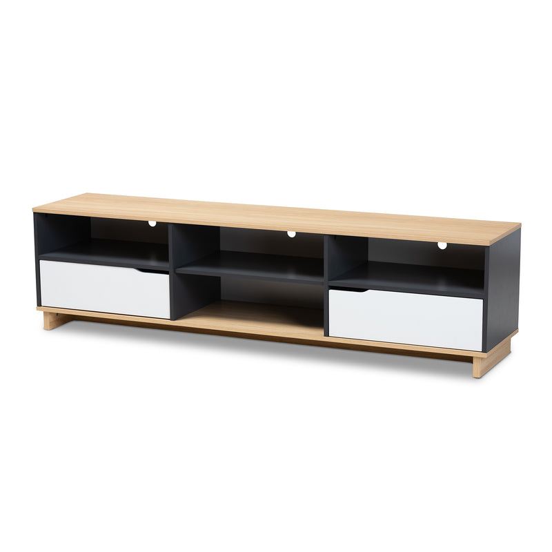 Reed Mid-Century Modern 2-Drawer Wood TV Stand in Multicolor with Storage and Stylish Design