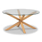 Lida Coffee Table - Modern Contemporary Design with Glass and Wood Finish, Stylish Living Room Furniture