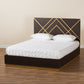 Arcelia Queen Size Platform Bed Contemporary Glam Luxe Design Two-Tone Dark Brown Gold Finished Wood