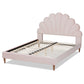 Odille Queen Size Platform Bed Modern Glam Light Pink Velvet Upholstered with Walnut Brown Wood Seashell Shaped Design