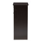 Dariell Shoe Cabinet in Modern Wenge Brown Finish for Stylish Storage Solutions