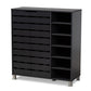 Shirley Shoe Storage Cabinet Modern and Contemporary Dark Grey Finished 2-Door Wood with Open Shelves