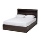 Blaine Queen Size Platform Storage Bed - Modern Dark Brown Wood with 6 Drawers for Organized Bedroom Storage