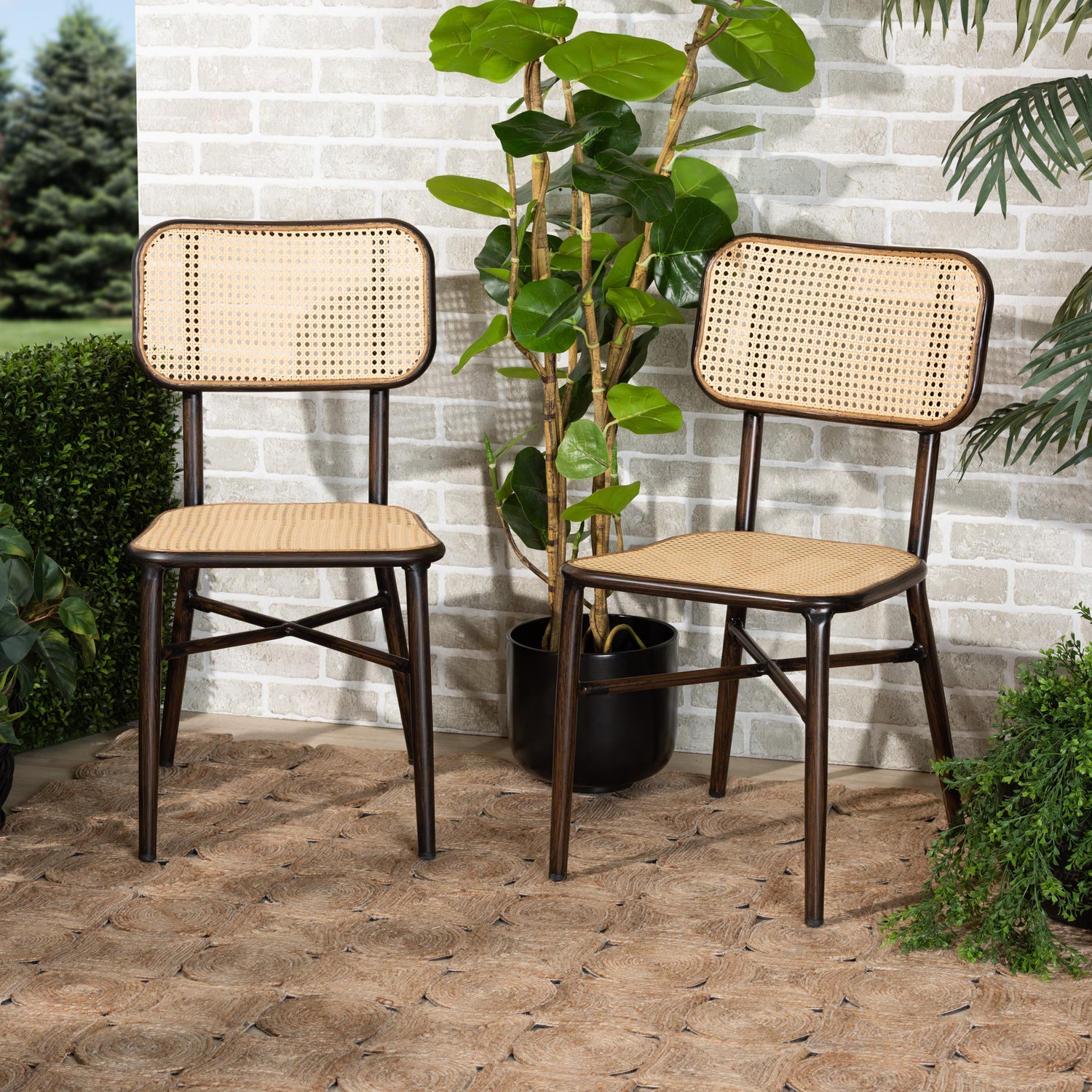 Katina Outdoor Dining Chair Set - Mid-Century Modern Design, Dark Brown Metal and Synthetic Rattan, 2-Piece Set for Patio and Garden