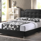 Carlotta Black Modern Bed - Upholstered Headboard