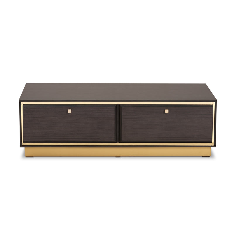 Cormac Coffee Table Mid-Century Modern Transitional Dark Brown Finished Wood and Gold Metal 2-Drawer