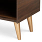 Landen Shoe Storage Cabinet Mid-Century Modern Walnut Brown and Gold Finish with 2 Doors for Entryway Organization