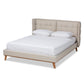 Gretchen Platform Bed - Modern and Contemporary Light Beige Fabric Upholstered with Walnut Brown Finished Wood