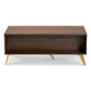 Edel Coffee Table Mid-Century Modern Walnut Brown with Gold Finished Wood Accents