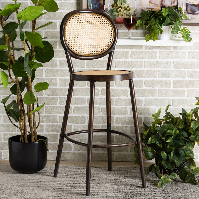 Thalia Outdoor Bar Stool - Mid-Century Modern Dark Brown Metal and Synthetic Rattan for Stylish Patio Seating